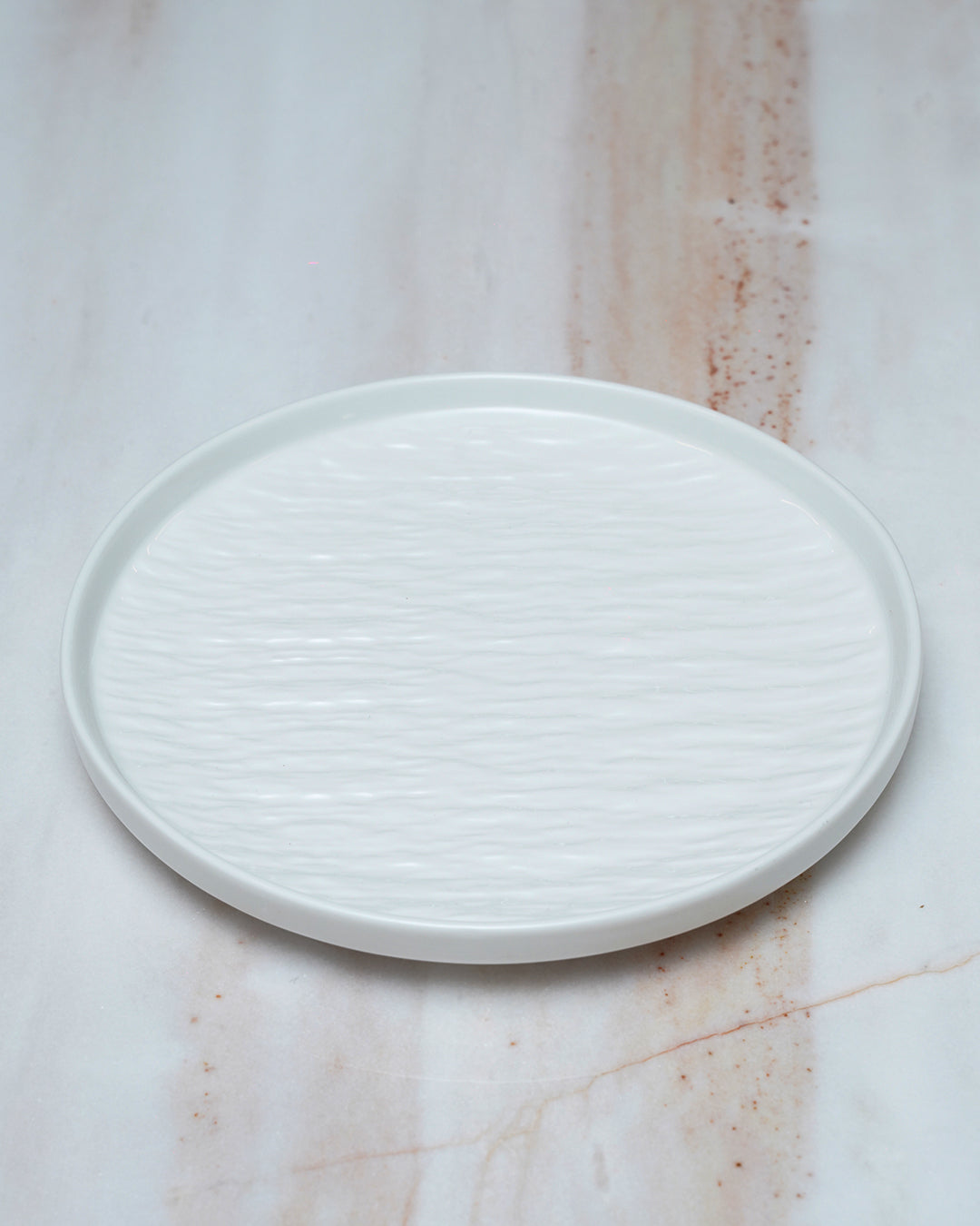 2pcs Ceramic Dinner Plates
