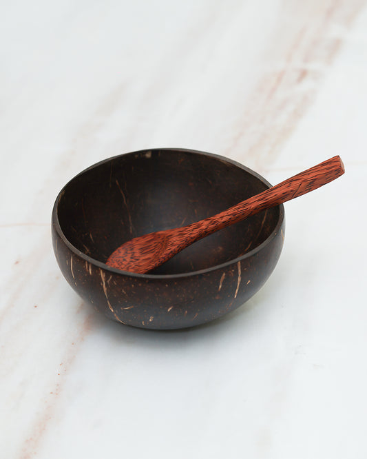 Coconut Shell Bowl with Spoon