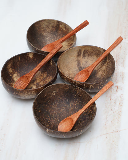 Coconut Shell Bowl with Spoon