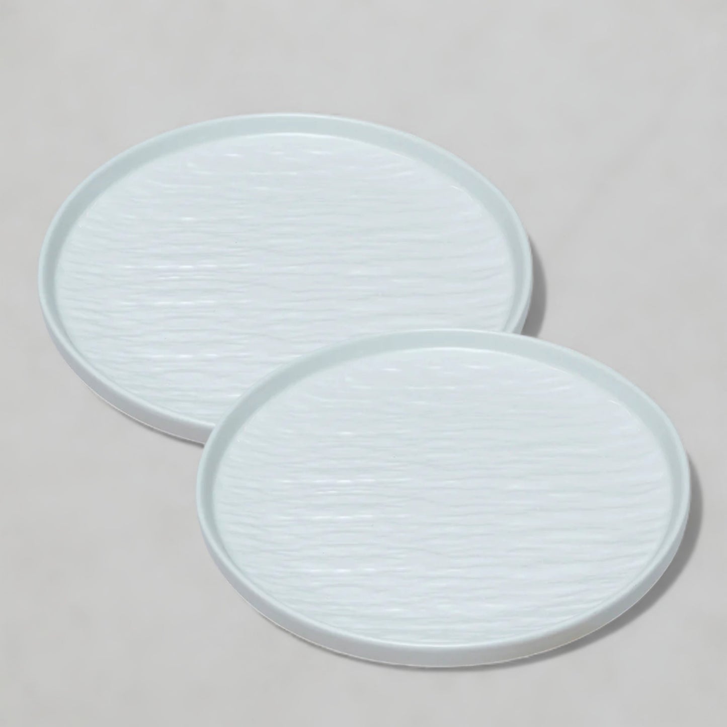 2pcs Ceramic Dinner Plates