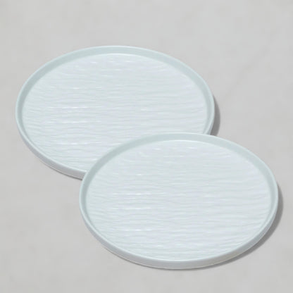 2pcs Ceramic Dinner Plates