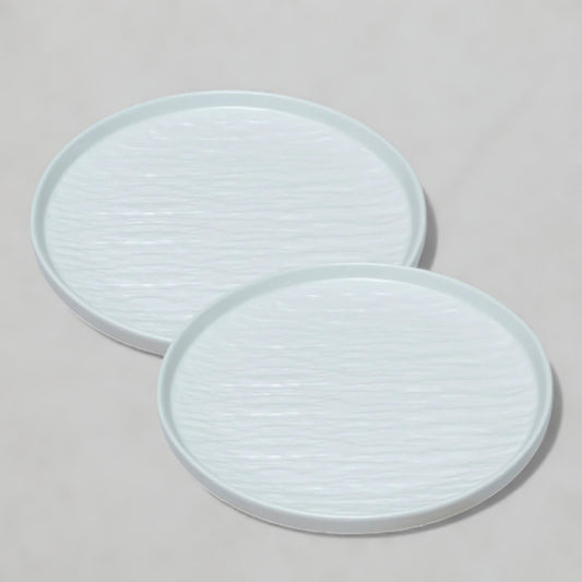 2pcs Ceramic Dinner Plates
