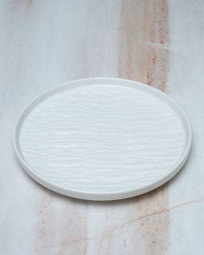 2pcs Ceramic Dinner Plates