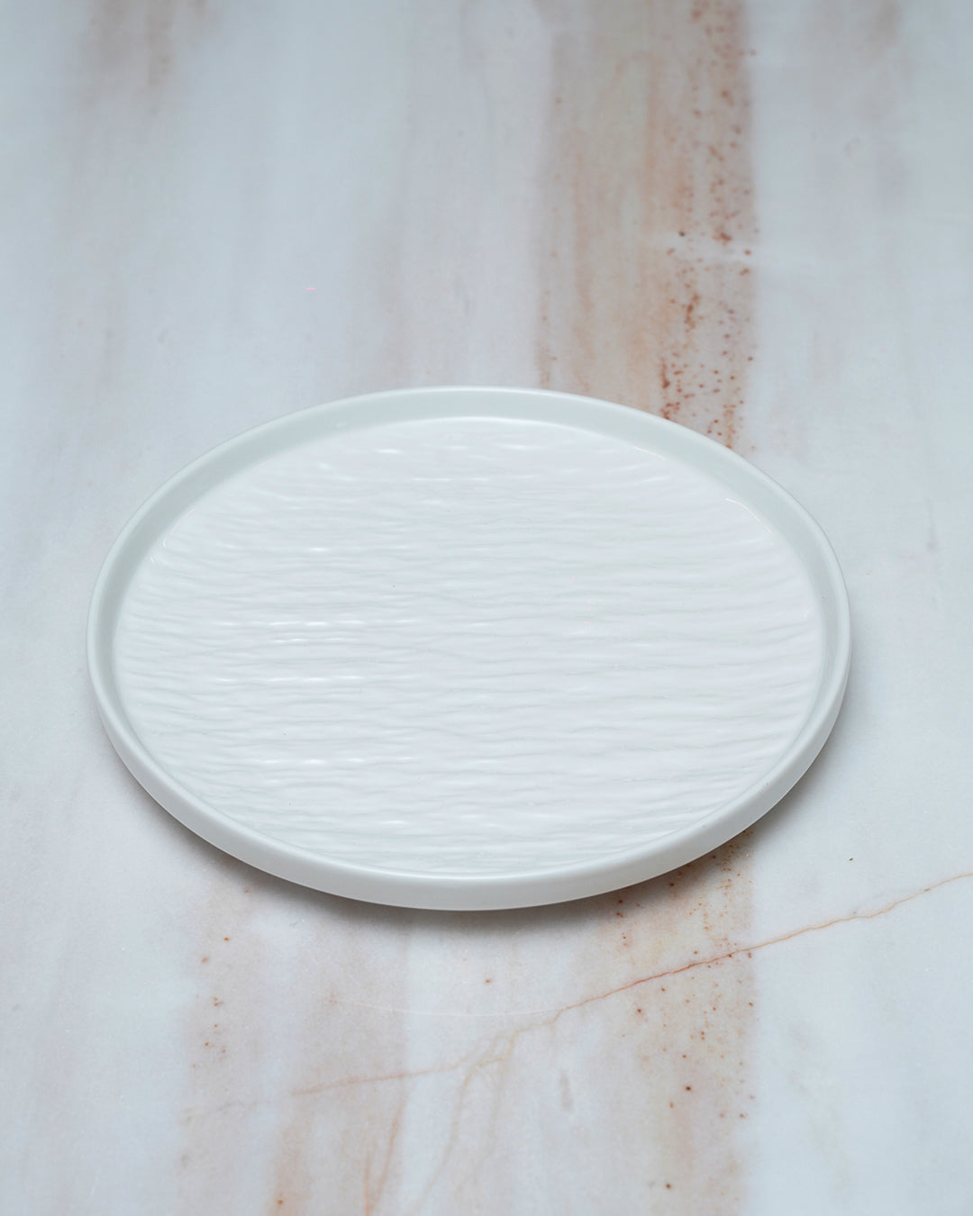 2pcs Ceramic Dinner Plates