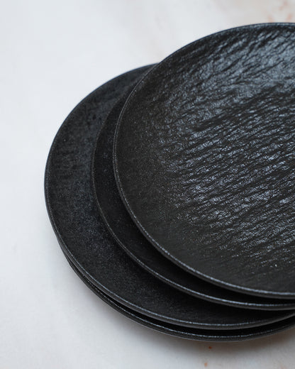 4PC Matte Dinner Plate