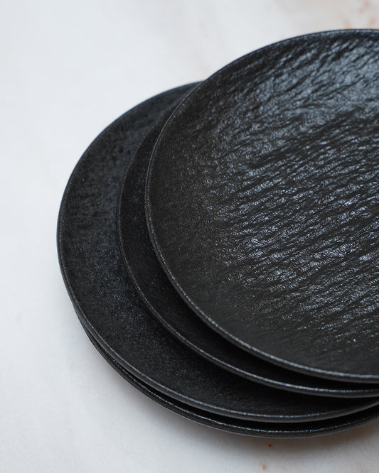 4PC Matte Dinner Plate