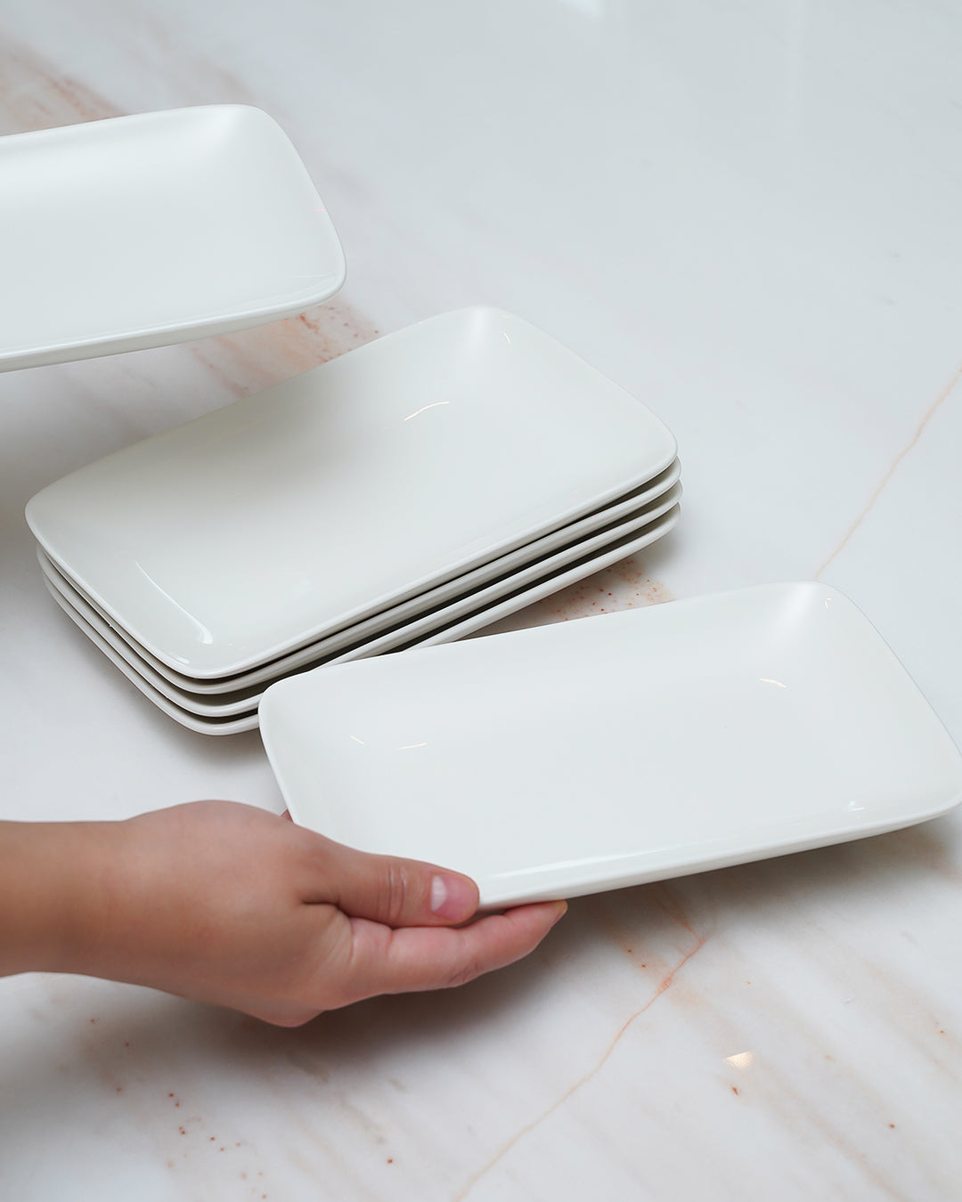 6PC Plate Set