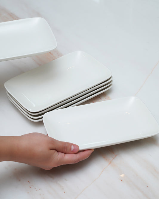 6PC Plate Set