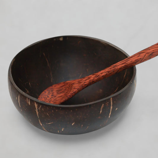 Coconut Shell Bowl with Spoon