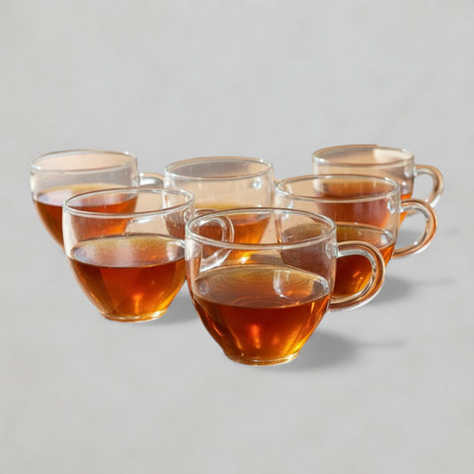6PC Double-Walled Glass Cup