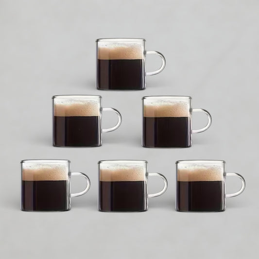 6pc Insulated Cups